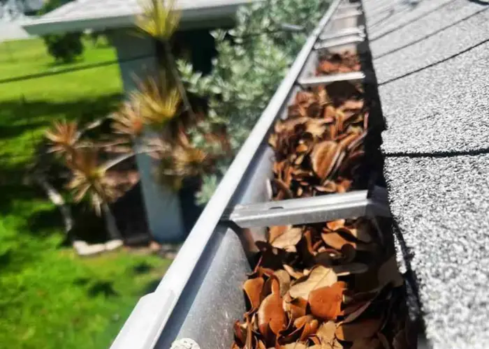 Cove Neck gutter cleaning home page